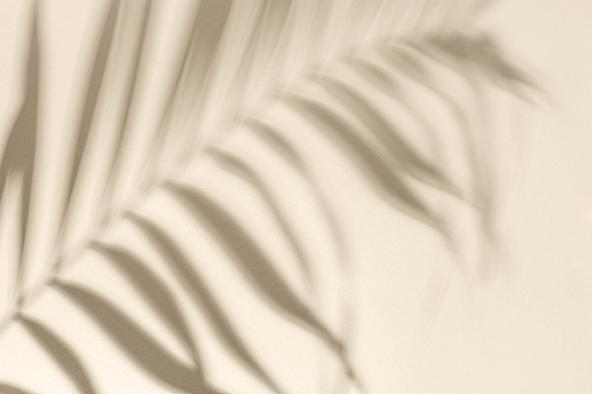 Summer Minimal Background with Shadow from Natural Palm Leaf. Pastel Colored Aesthetic Photo with Palm Plant.